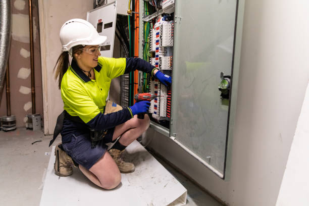 Best Electric Panel Repair  in , WV